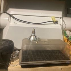 Thousand Watt Hood And Ballast