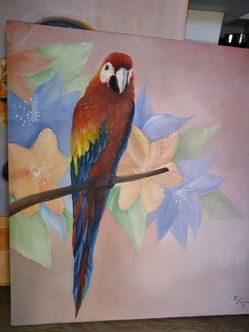 Original Macaw Painting 30x30 — Signed