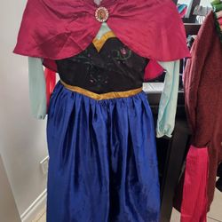 Anna From Frozen  Halloween Costume