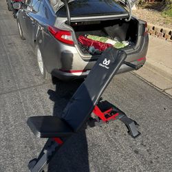 Black Pear Foldable Weight Bench