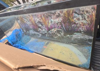 55 gal aquarium