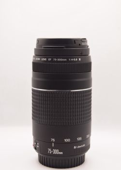 Canon 75-300 iii