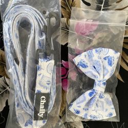 Cute Dog Bow And Leash