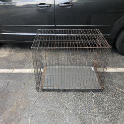 Dog Cage