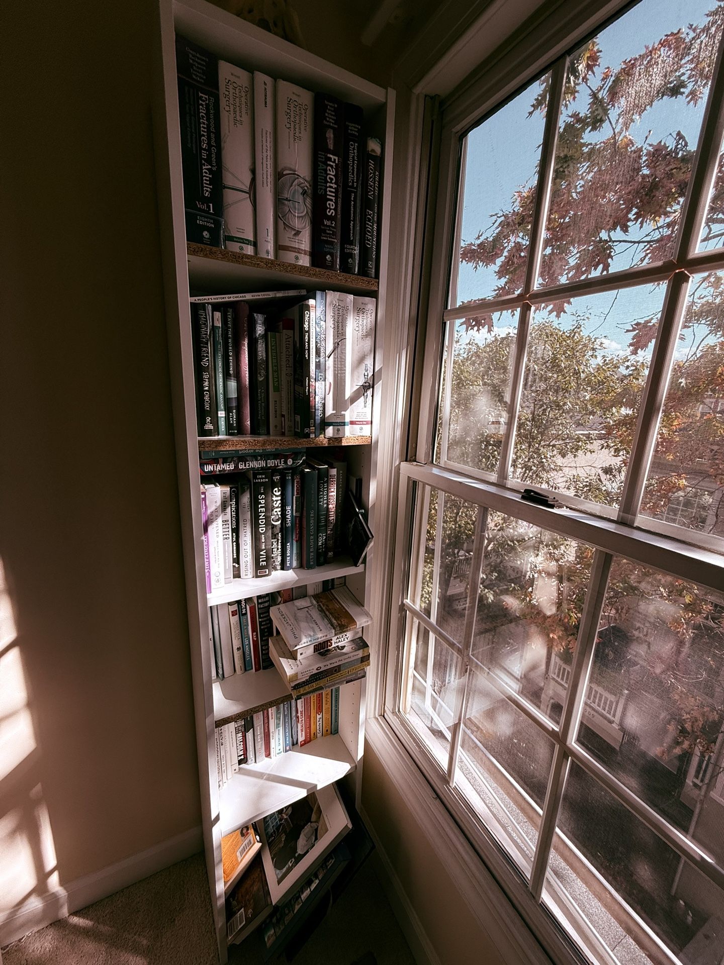 Ikea Bookshelf