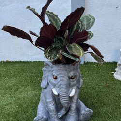 elephant flower pot