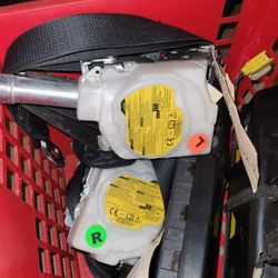 Toyota Corolla To Camrry 2022  Seat Belt 