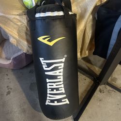 40lbs Everlast Punching Bag