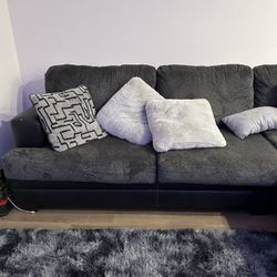 Gray Couches 