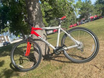 Giant Iguana Mountain Bike 21” Frame – Great Condition 🚵
