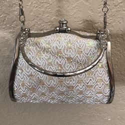 Beautiful Sparkly Purse