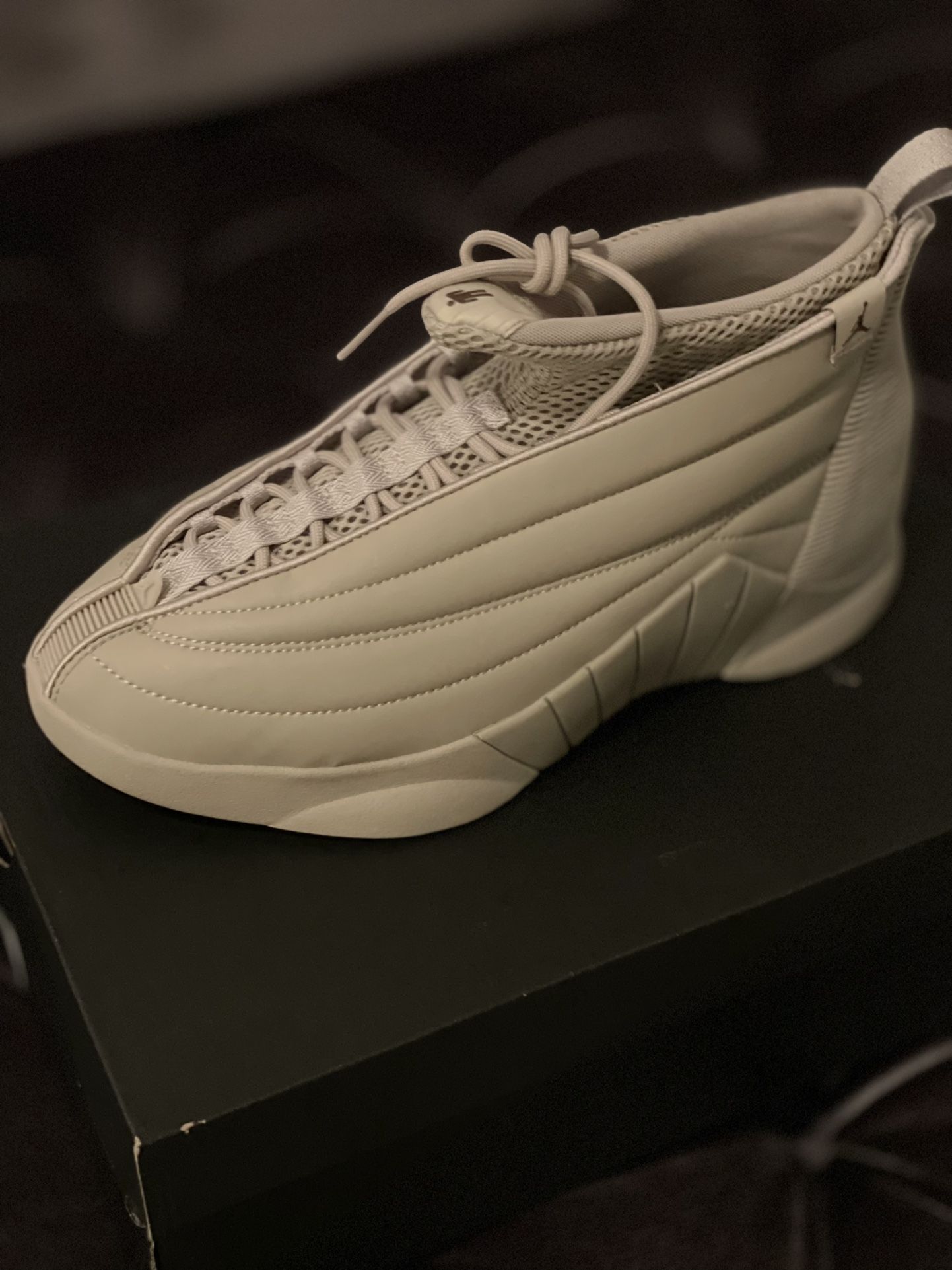 WMNS Air Jordan 15 Size 11