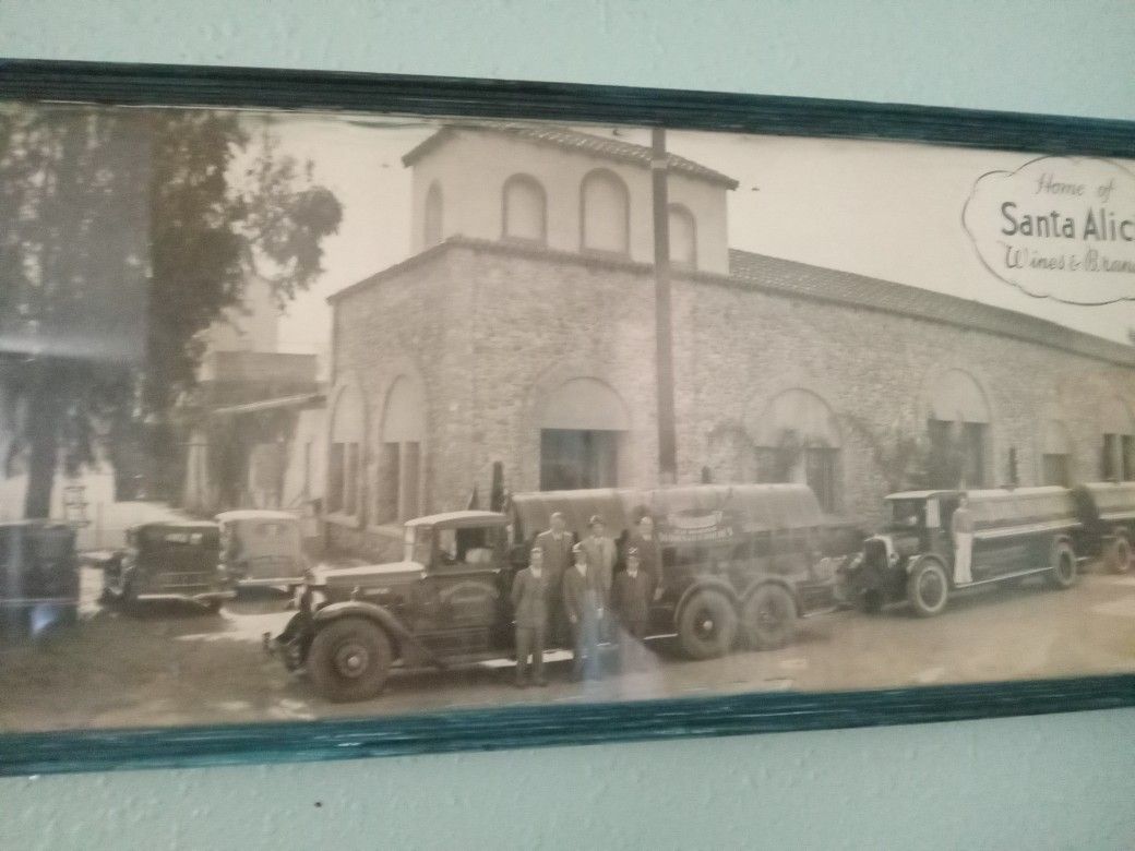 1920s Photo California Vineyard Padre Winery 10"x 28" Cucamonga California 