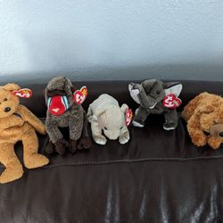 TY Beanie Babies (5)