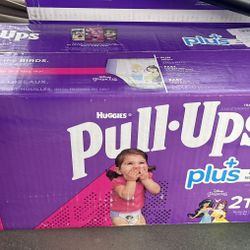 Pull Ups Box Size 2-3 T