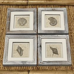 Vintage 5” H x 5” W Coastal Keepsakes Framed/Matted Resin Shells – Set of 4