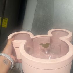 Mickeys Boxes For Arrangements 