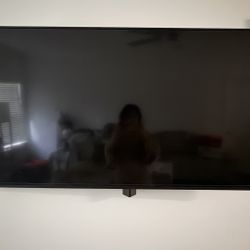 60 Inch VIZIO TV 
