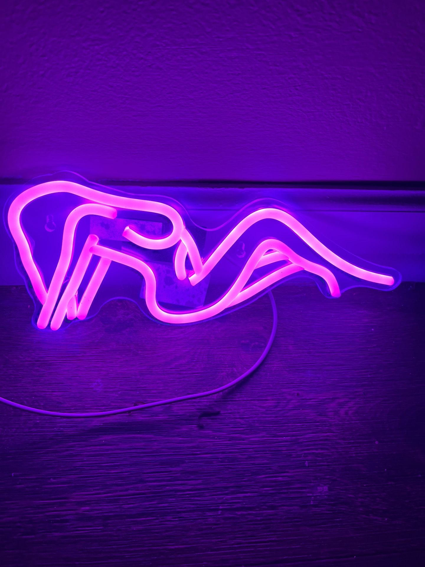 Lady Outline Neon LED Sign