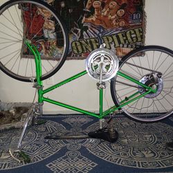 Schwinn Chicago