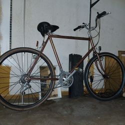 Scwinn Miranda Vintage