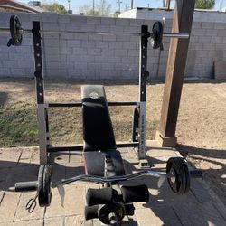 Gold Gym Bench Press