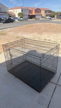 Big Dog Cage 
