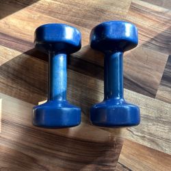 8lb Dumbbells