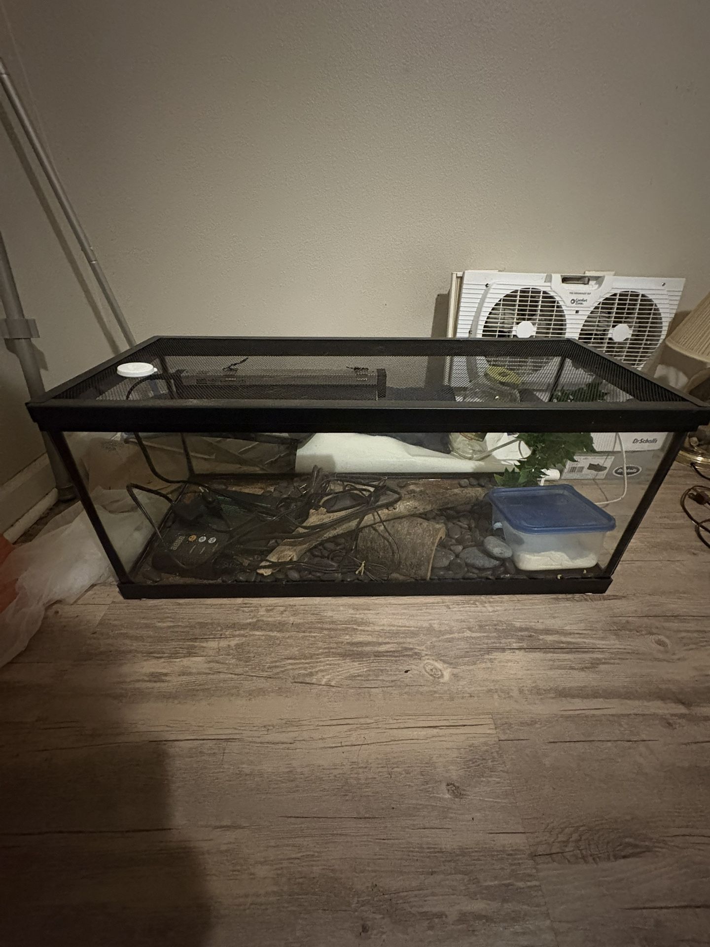 Reptile home