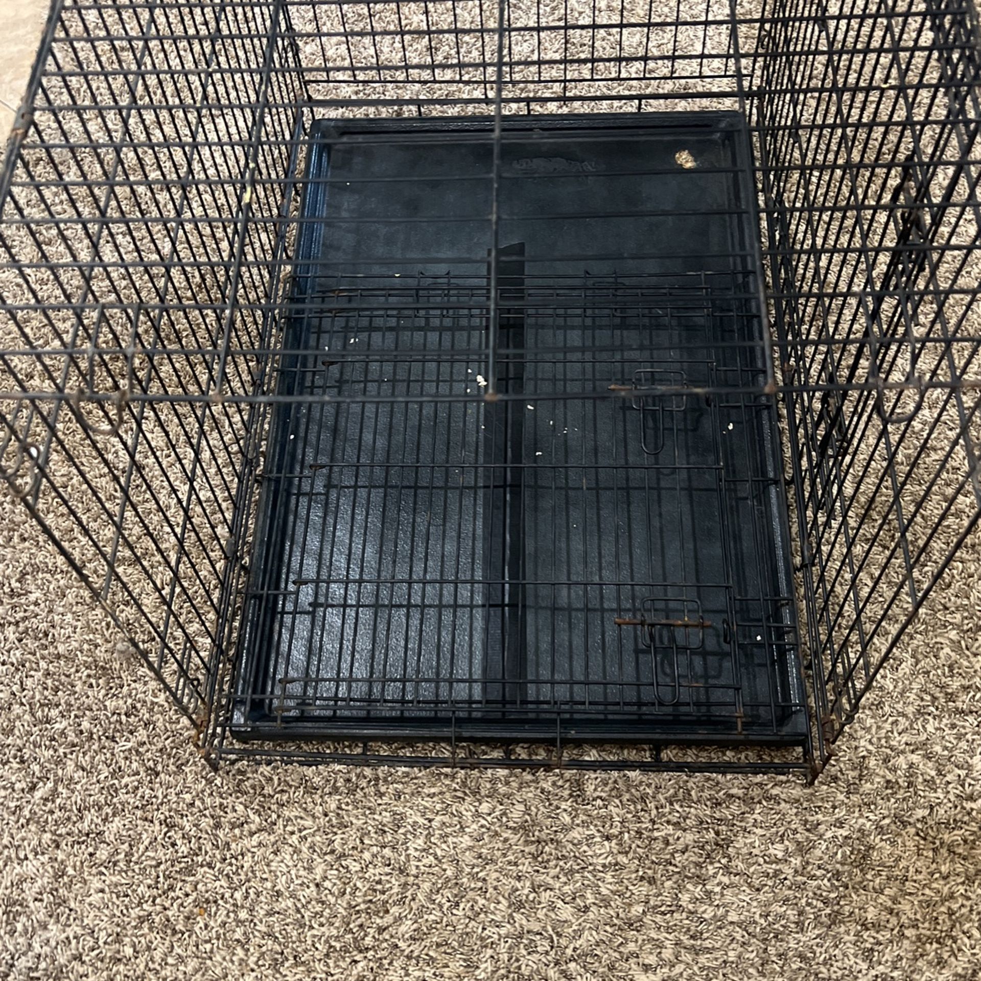 Dog Kennel