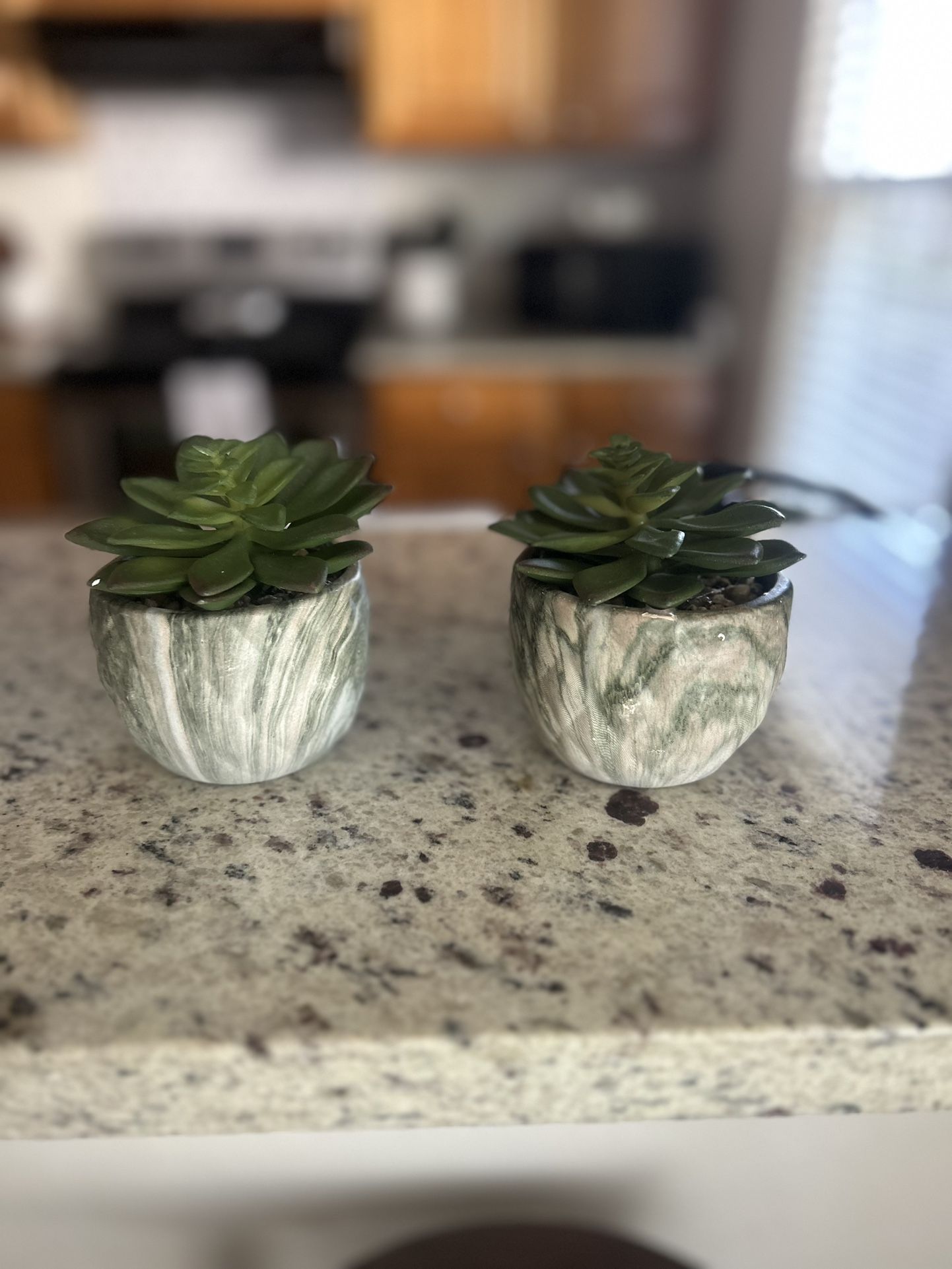 Set Of Two Succulent Planters