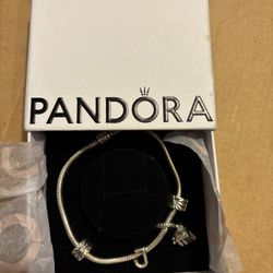 Pandora Bracelet Plus Charm