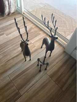 Deer