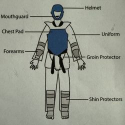 Taekwondo Sparring Gear