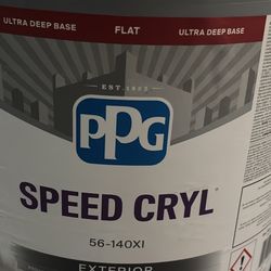 White Flat Paint Exterior / Pintura Blanca Exterior 