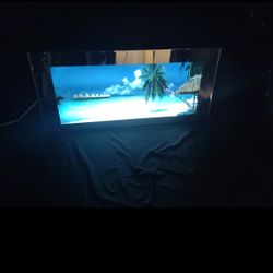 Vintage 4 Ft By 2 Ft Huge Picture Of The Ocean That Lights Up And Has Sound.They Don't Make These Anymore