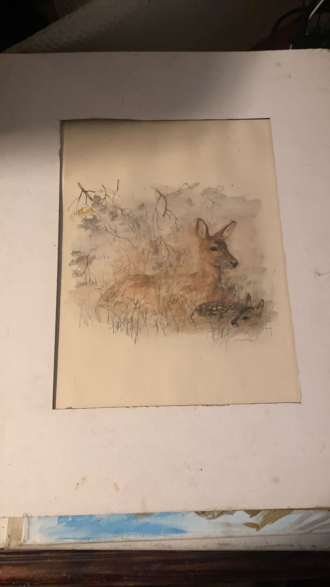 Mads Stage Doe And Fawn Print