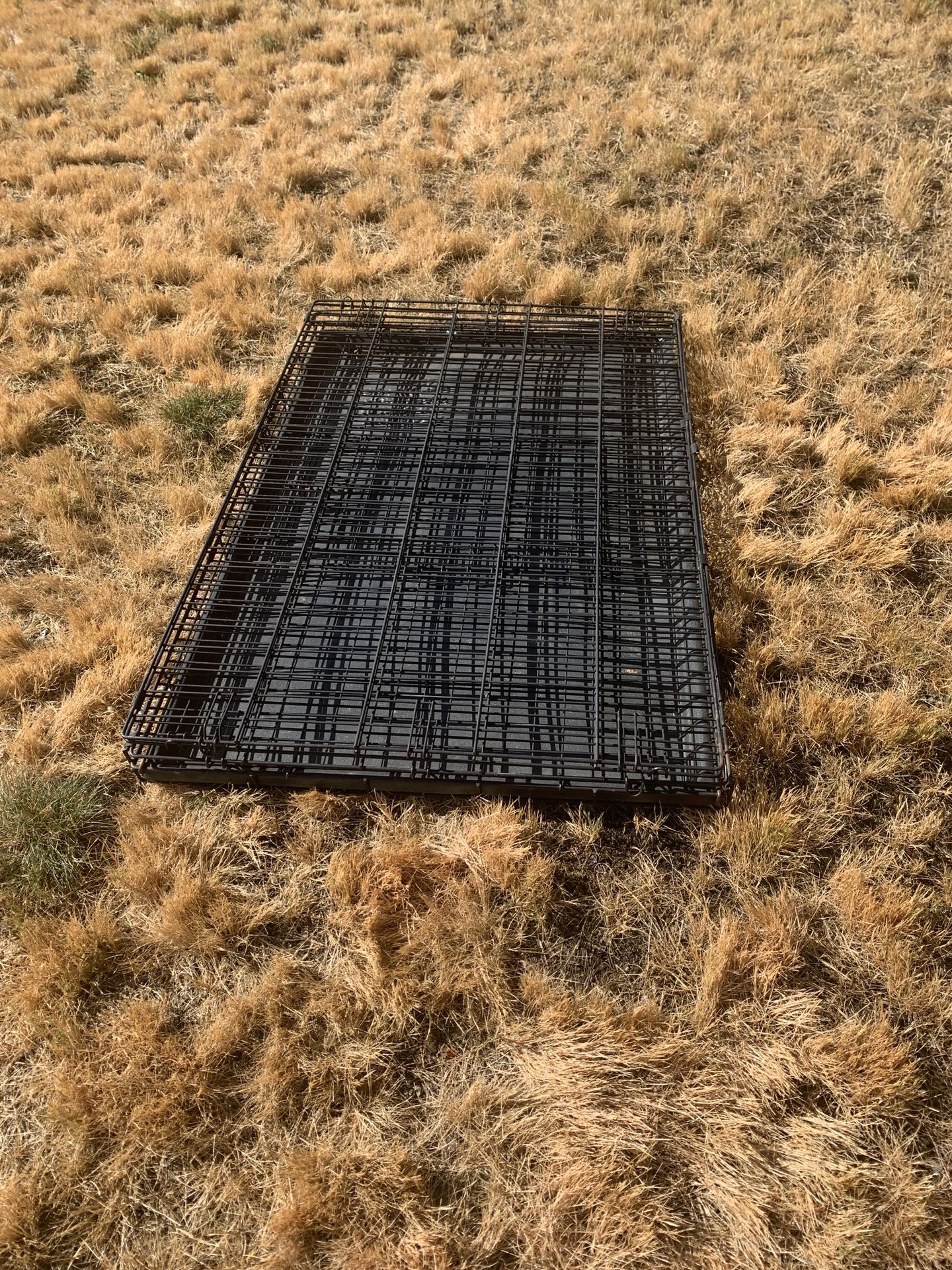 Collapsible Dog Crate