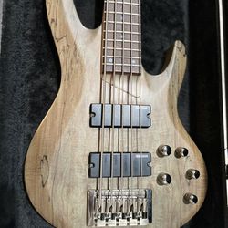 ESP LTD B-205SM 5-String Electric Bass Guitar