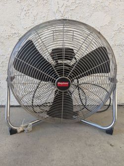 Fan