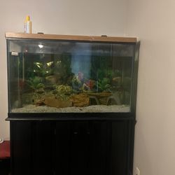 100 Gallon Fish Tank