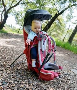 BLUE Deuter Kid Comfort Active child carrier back pack