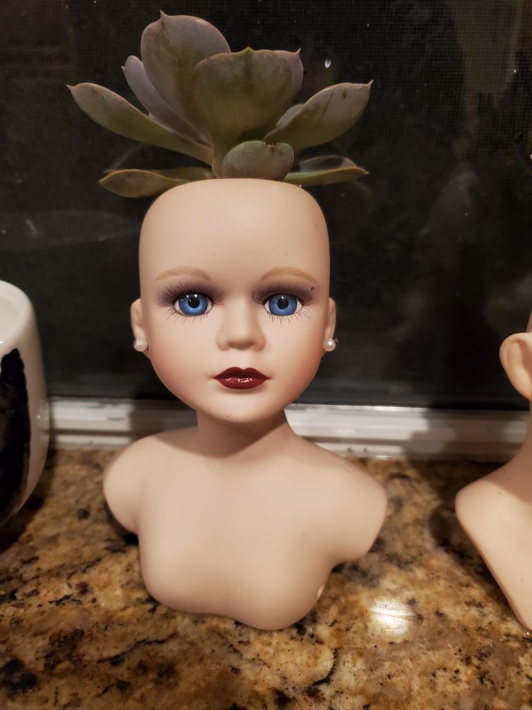 Doll head planter porcelain with succulent