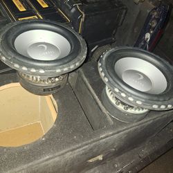 Two ten Inch high-powered car subwoofers.
