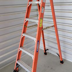 WERNER 6 ' LADDER