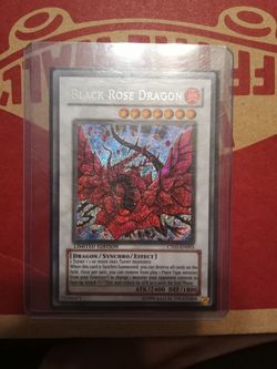 Yu-Gi-Oh Black rose dragon