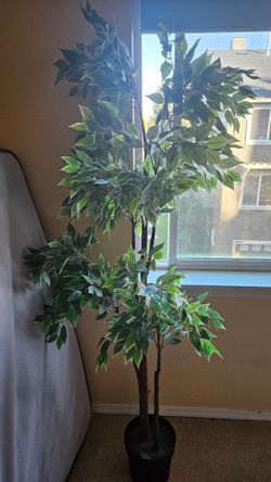 Artificial Plant