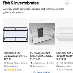 Multiple Aquariums