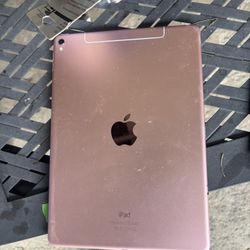 iPad