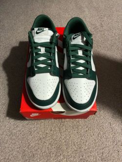 Nike Dunk Michigan State size 8 NEW